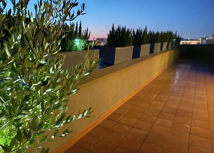 Apartment Palmieri47 Bari